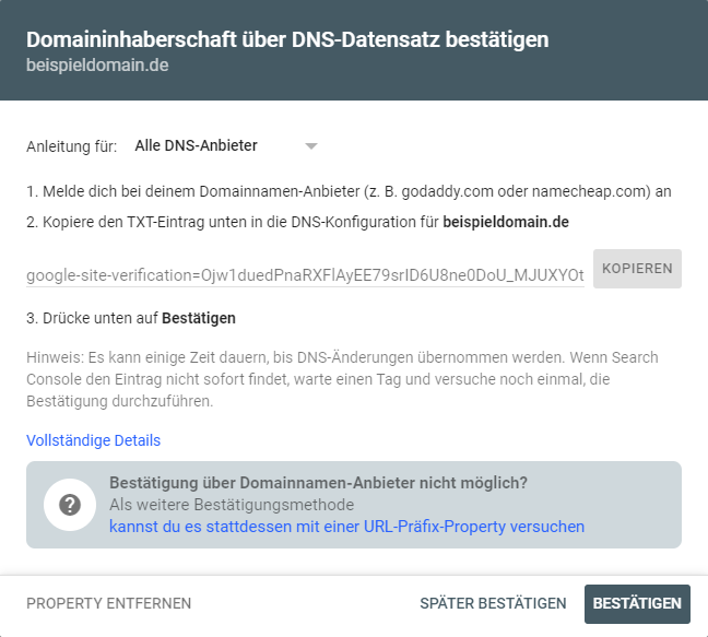 DNS-Eintrag für Google Search Console