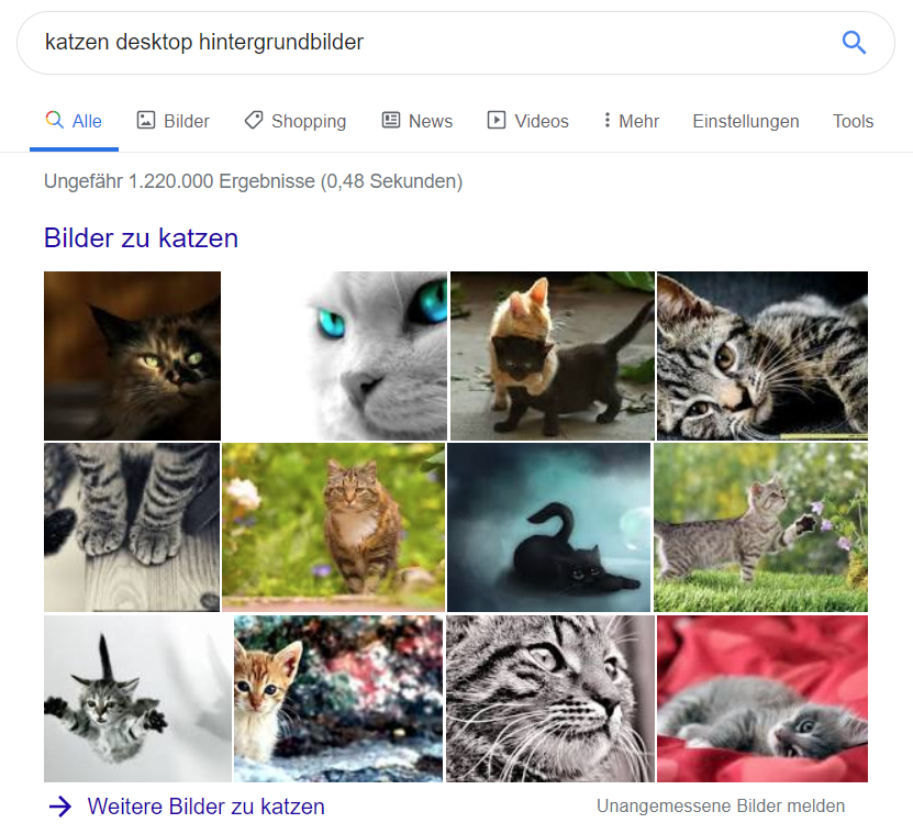 Google Bildersuche - Katzen Desktop oHintergrundbilder